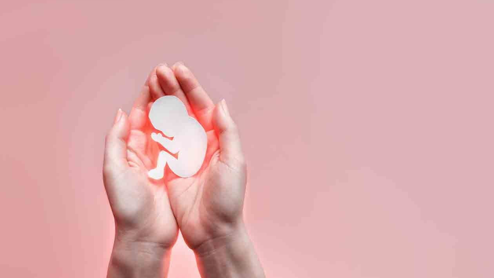 Aborto San Marino. Pro Vita & Famiglia: «Ha vinto il diritto di abbandonare le donne ed eliminare i più fragili» 1